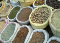 Premium Quality Grains