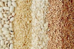 Premium Quality Grains