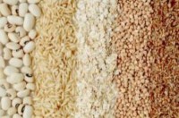 Premium Quality Grains