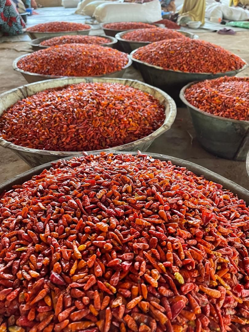 Organic Dried Red Chili Peppers