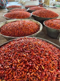 Organic Dried Red Chili Peppers
