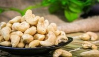 Premium Quality Cashew Nuts