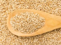 Good Quality Sesame Seeds